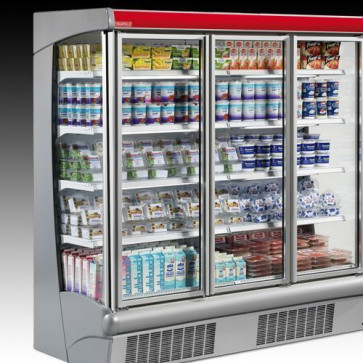 ARGUS DOORS фото